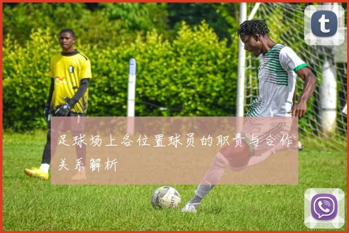 足球场上各位置球员的职责与合作关系解析