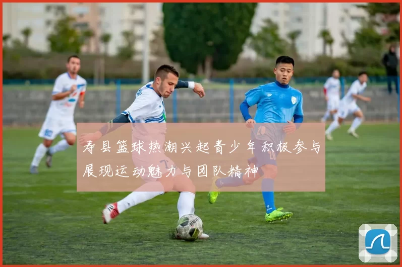 寿县篮球热潮兴起青少年积极参与展现运动魅力与团队精神
